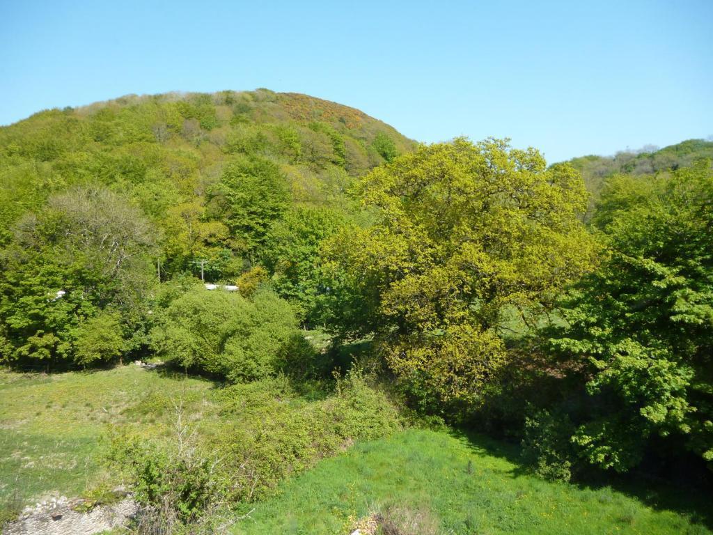 Score Valley Country House Ilfracombe Δωμάτιο φωτογραφία