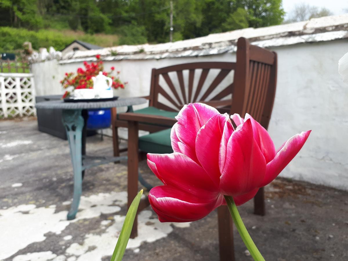 Score Valley Country House Ilfracombe Εξωτερικό φωτογραφία